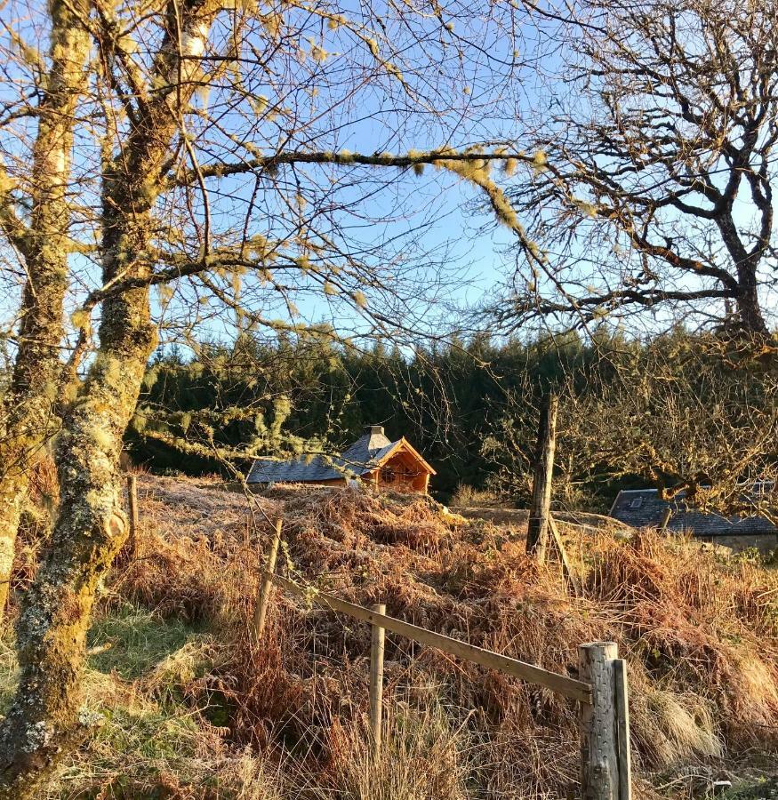 The Nest Glamping Pod Hotel Dalmally Buitenkant foto